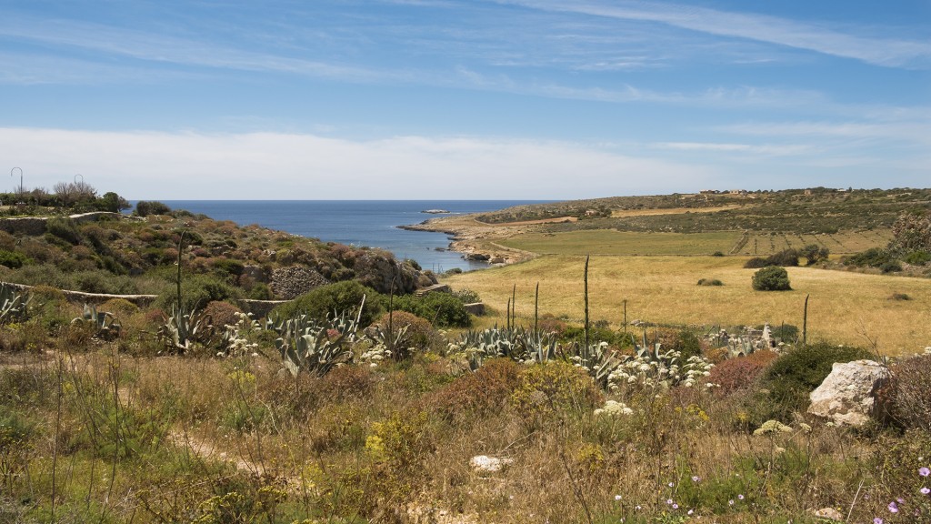 Sentiero 6: Cala Rotonda - Stornello - Pirreca