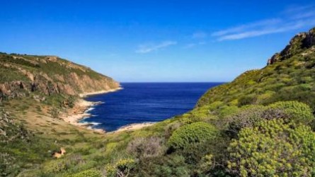 Sentiero 5: Cala Fredda - Cala Minnola - Cala Calcara