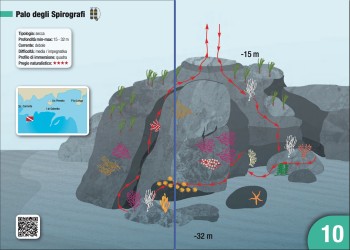Sito 10 - Palo degli Spirografi