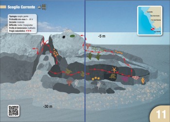 Sito 11 - Scoglio Corrente
