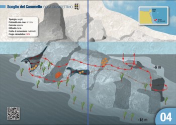 Sito 4 - Scoglio del Cammello
