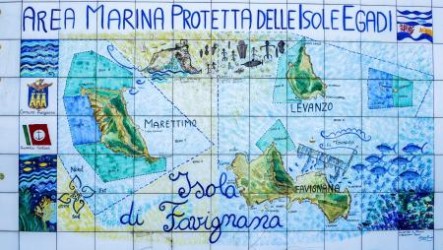L’Area Marina Protetta “Isole Egadi”