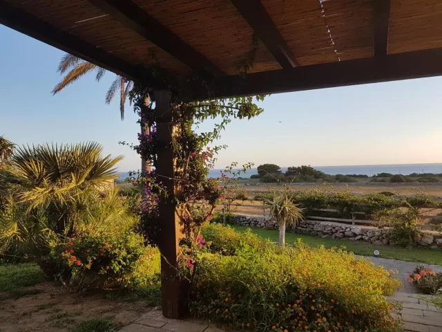 Il Giardino Delle Aloe