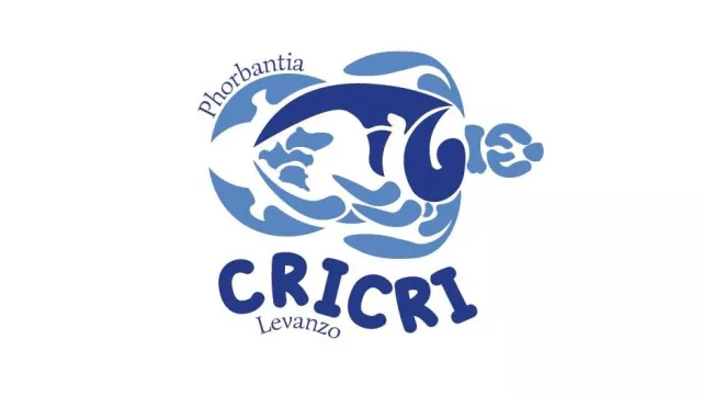 Cri Cri Levanzo
