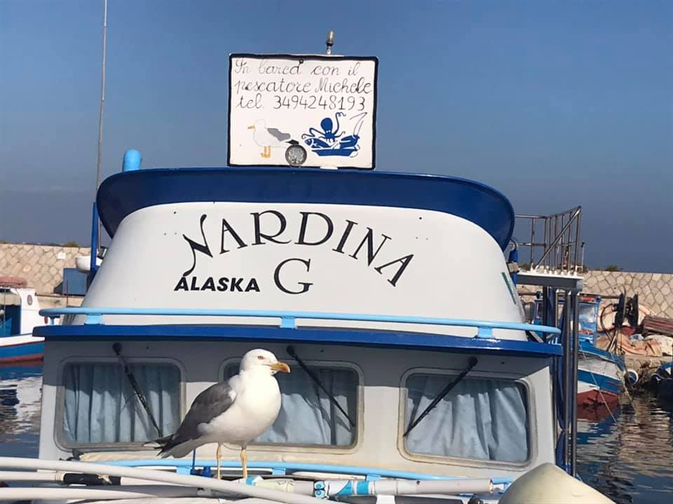 Dalla Rete al Piatto