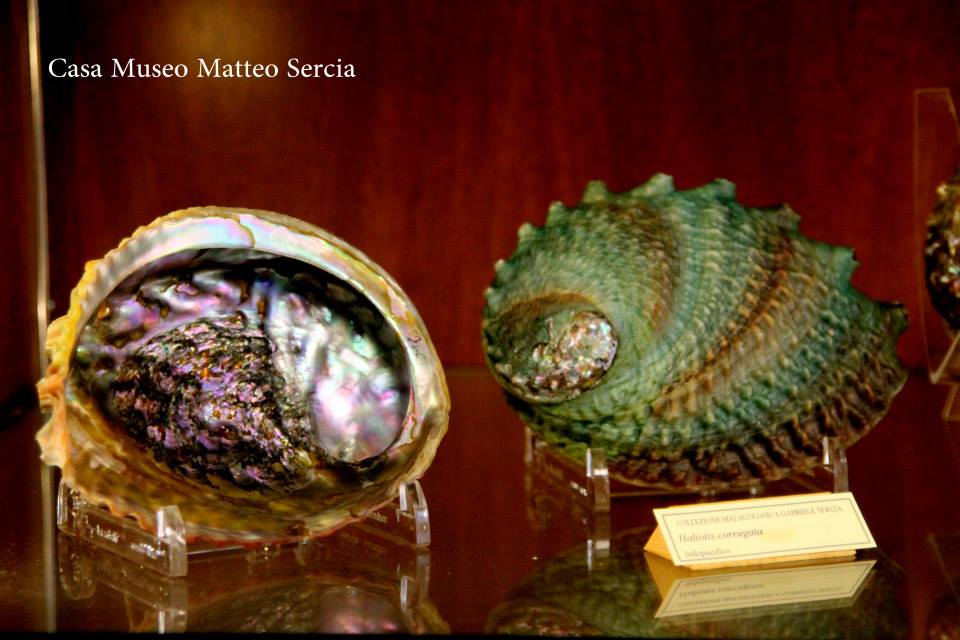 Casa Museo Matteo Sercia (TEMPORANEAMENTE CHIUSA)
