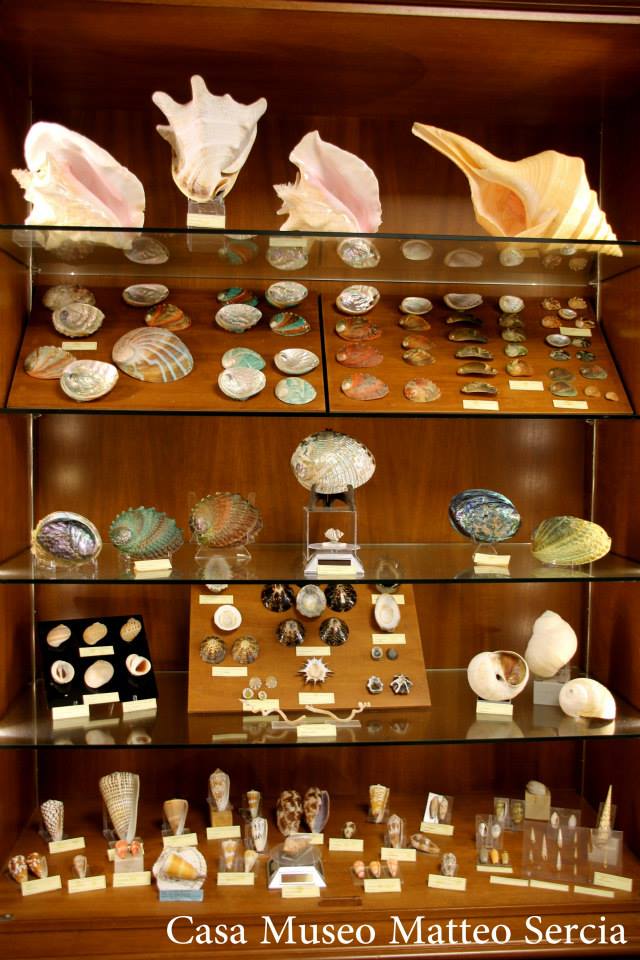 Casa Museo Matteo Sercia (TEMPORANEAMENTE CHIUSA)