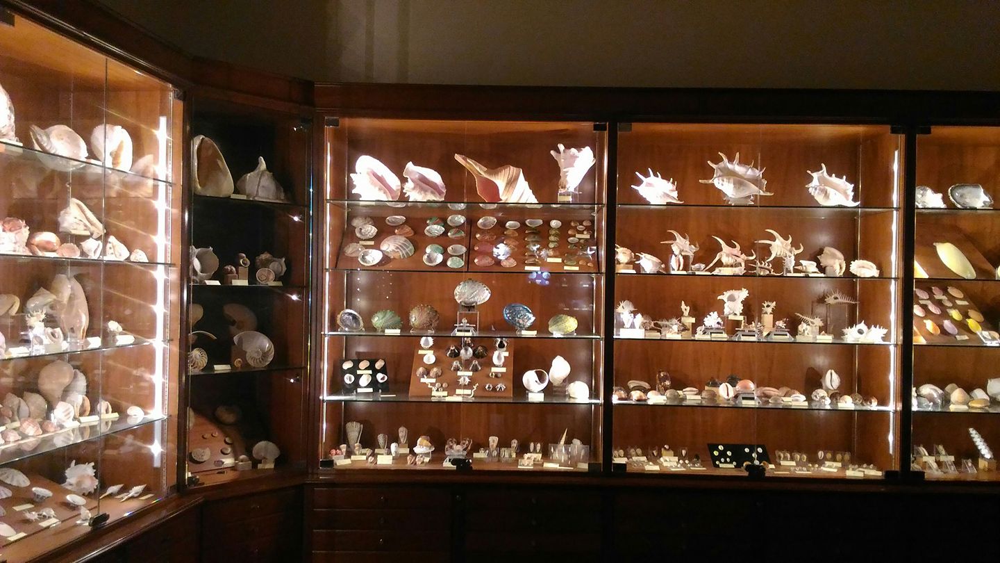 Casa Museo Matteo Sercia (TEMPORANEAMENTE CHIUSA)