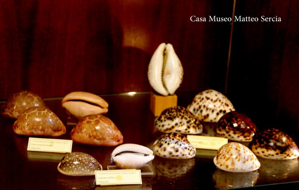 Casa Museo Matteo Sercia (TEMPORANEAMENTE CHIUSA)