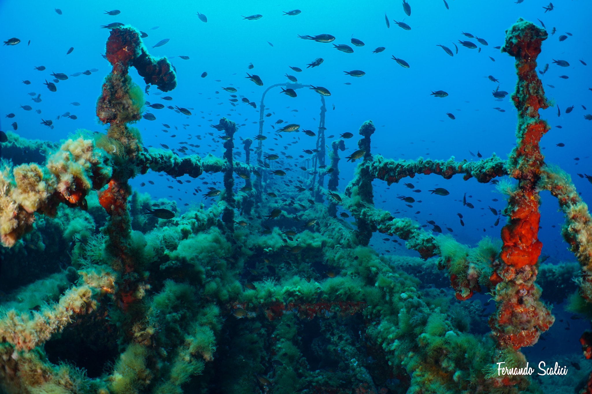 Marettimo Diving Center