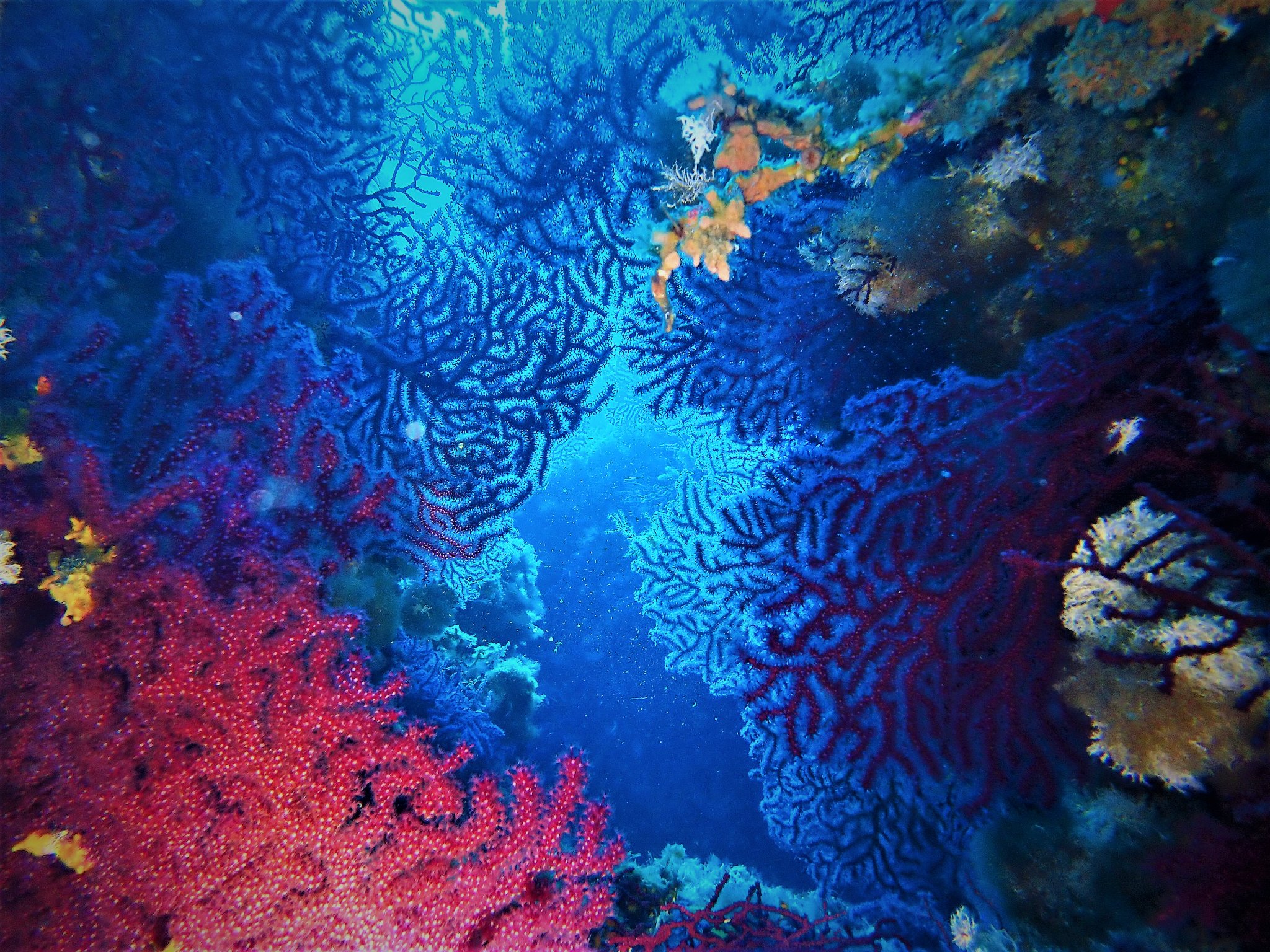 Marettimo Diving Center