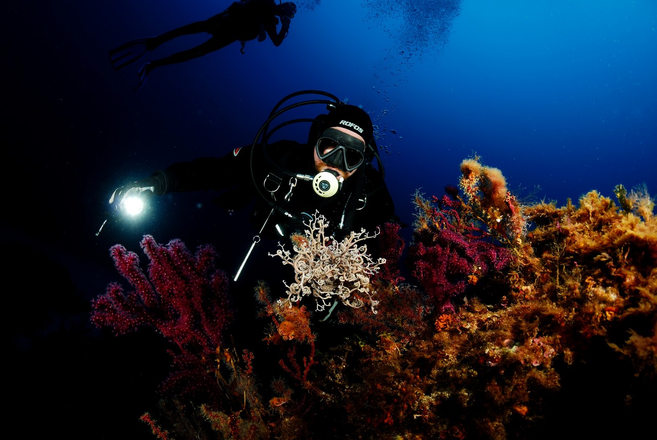 Blu Tek Diving Marettimo